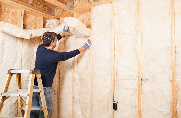 Best Radiant Barrier Insulation  in Waverly, MN